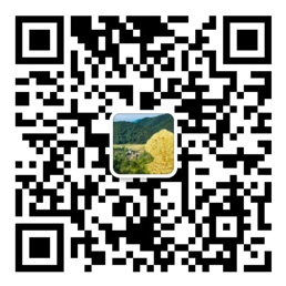 快3在线网址平台